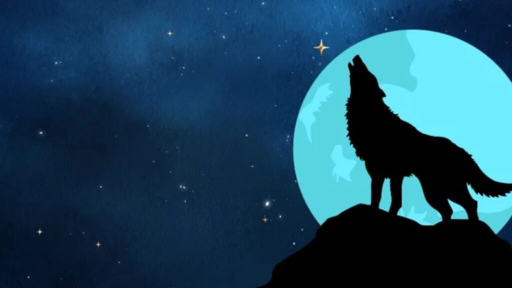 Wolf Winner Casino Australia Interbank Fees Guide
